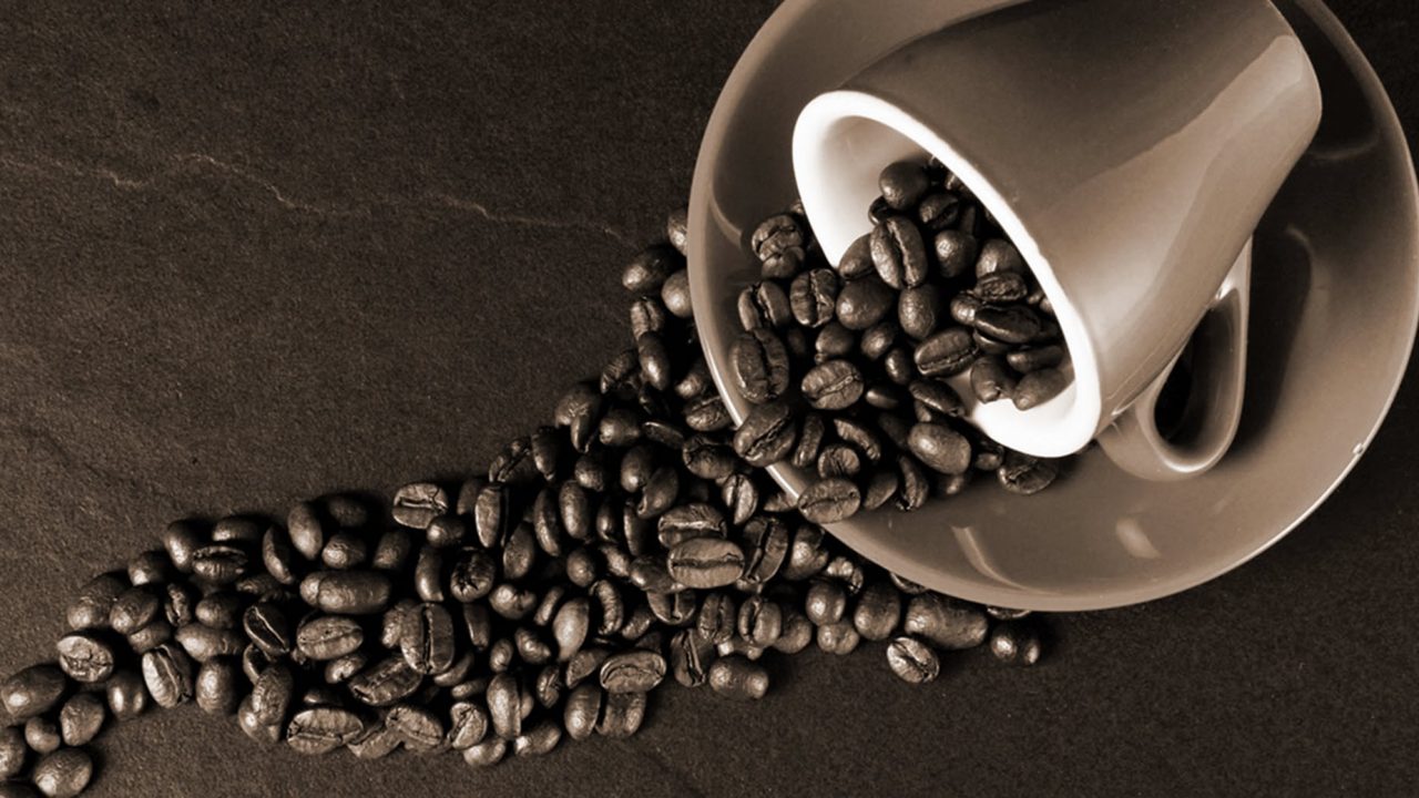 Coffee Special: Μάθετε τα πάντα για τον καφέ!